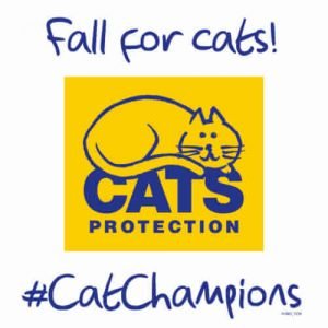 Cat Protection league
